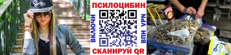Галлюциногенные грибы Psilocybe  Невинномысск 